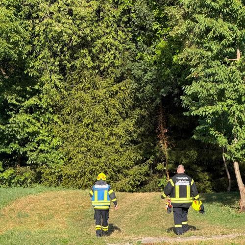 Zwei Feuerwehrmänner suchen den Waldrand ab