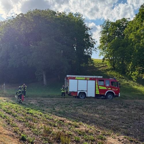 Löschfahrzeug am Waldrand mit zwei Feuerwehrmännern