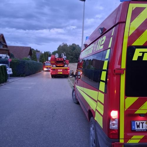Drei Feuerwehrfahzeuge stehen auf der Strasse