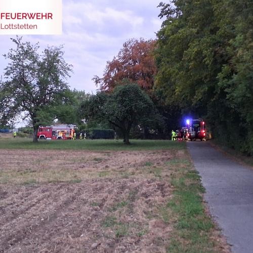 Zwei Feuerwehrfahrzeuge und Feuerwehrmänner stehen vor dem Brandherd Hecke